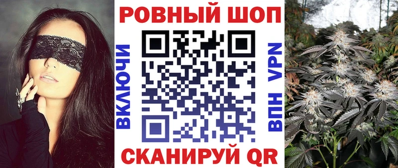  COCAIN Лабытнанги
