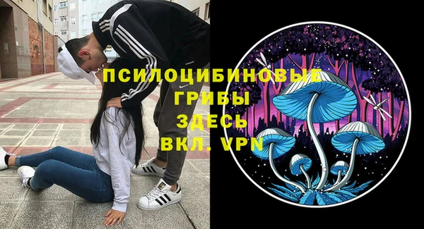 мет Кулебаки
