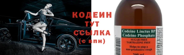СК Куйбышев