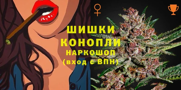 гашик Кукмор