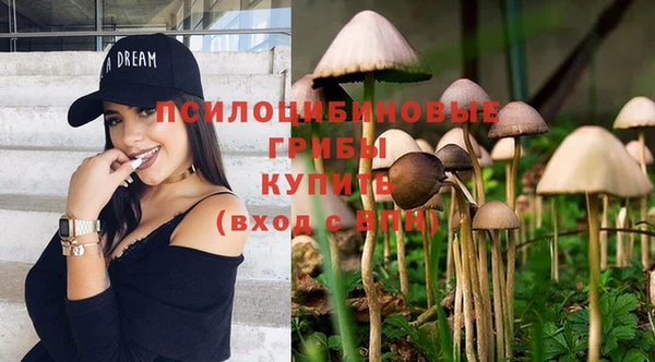 гашик Лагань
