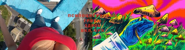 гашик Лагань